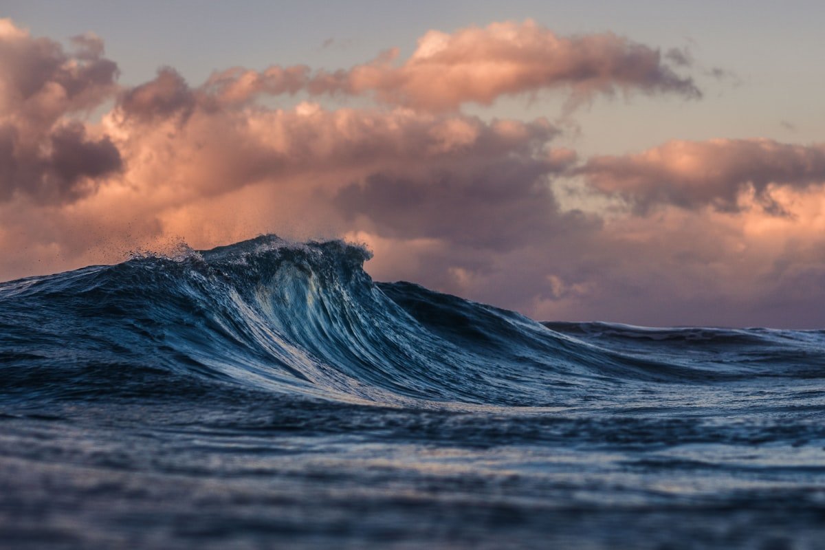 Ocean Room